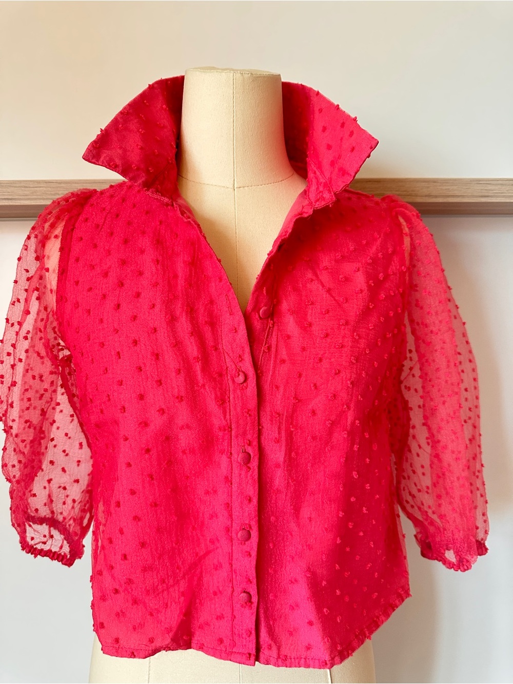 Forever 21 Hot Pink Swiss Dot Button-Front Blouse